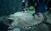 暗黑血统3/Darksiders III v1.11集成全DLCs简体中文免安装版